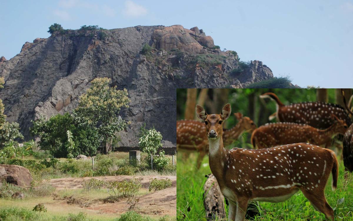 குமரி மாவட்டத்தில் வனவிலங்கு சரணாலயம்.!கல்குவாரிகளுக்கு வருகிறதா தடை..?