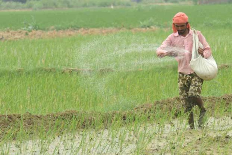 ஊரடங்கு அமல் : ஏப்ரல்-ஜூன்  மாதத்தில் மட்டும் 82.81 சதவீதம்  விவசாயத்திற்காக உரங்கள் விற்பனை…!