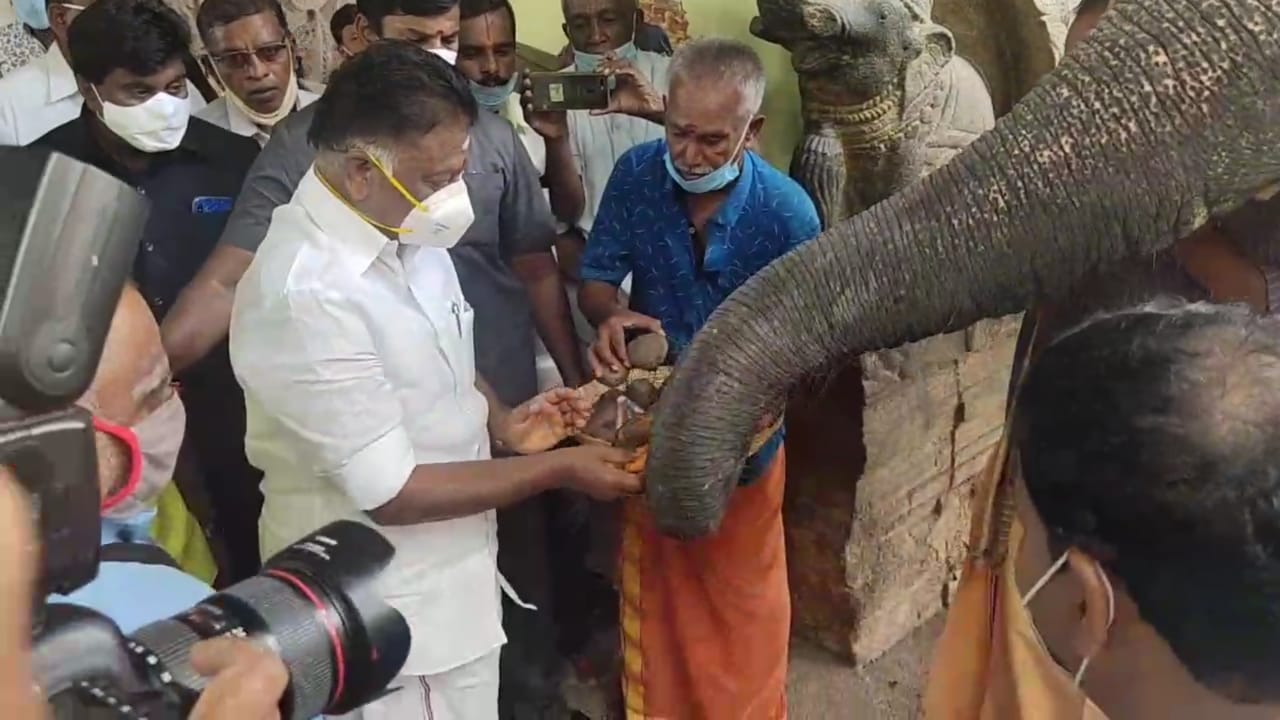 ஸ்ரீவில்லிபுத்தூர் ஆண்டாள் கோவிலில் துணை முதல்வர் ஓபிஎஸ் தரிசனம்.!