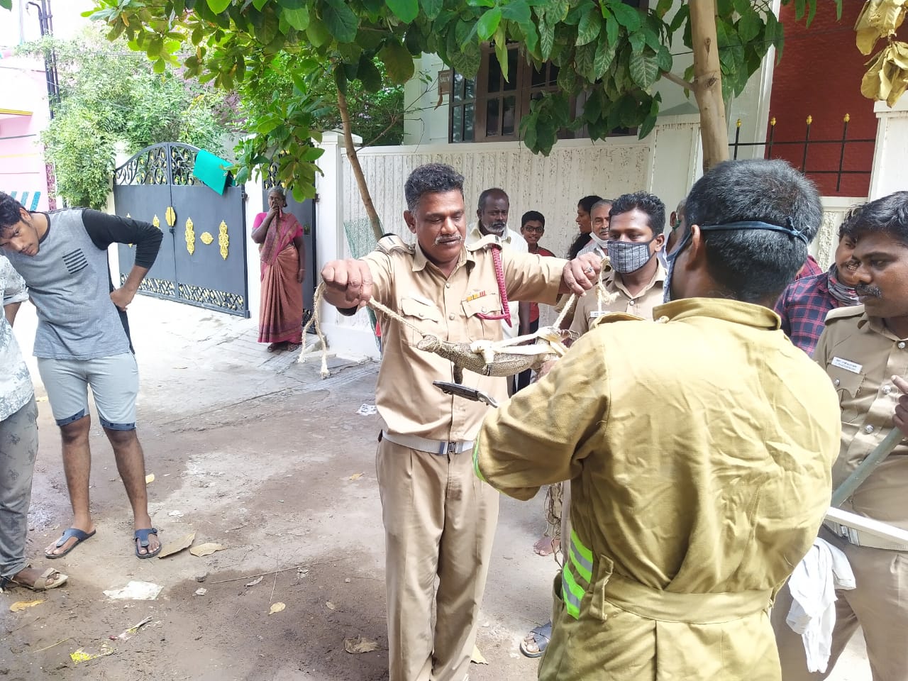 வீட்டுக்குள் புகுந்த உடும்பு : பிடித்த தீயணைப்புத் துறையினர்.!