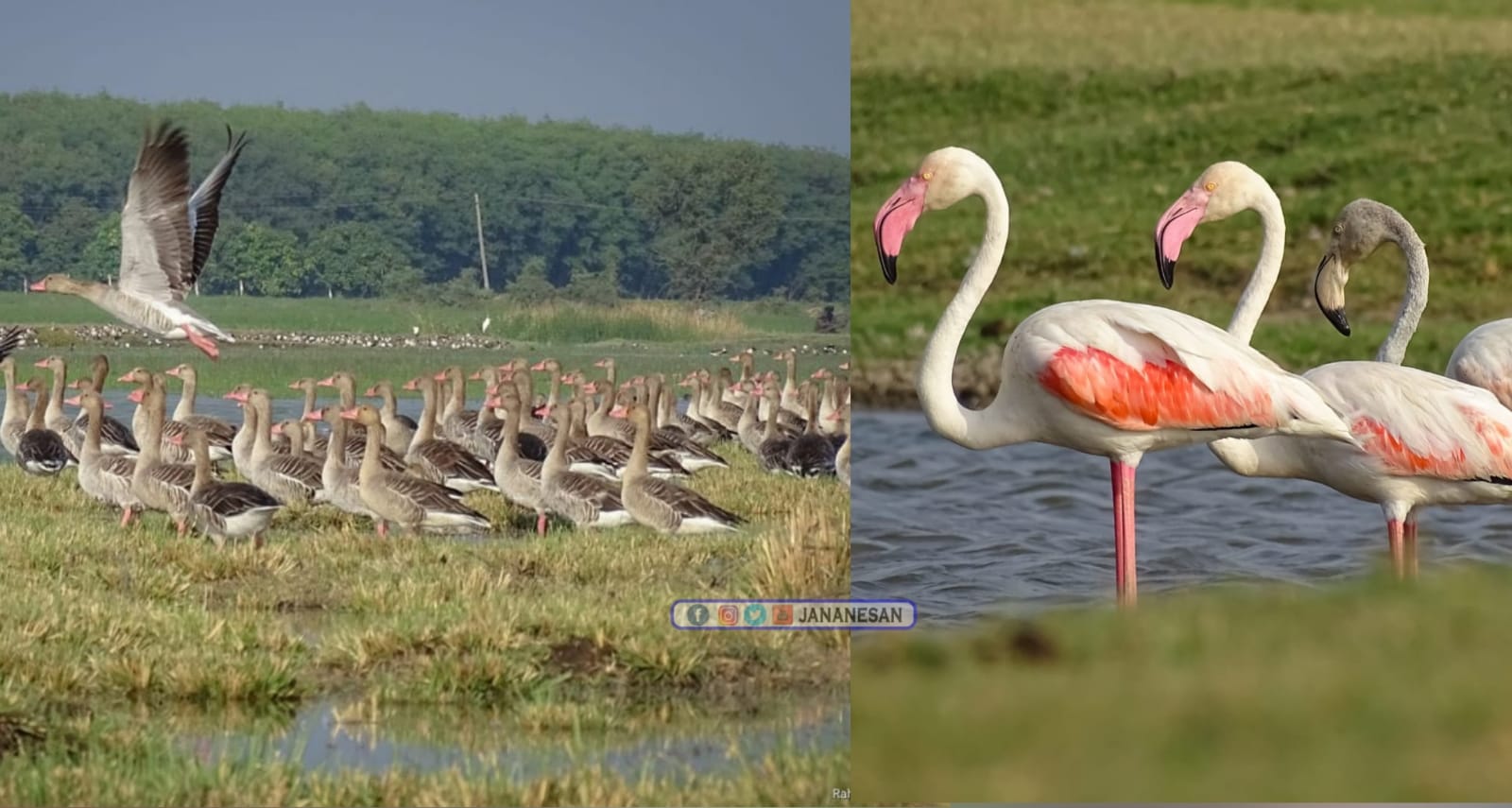 சர்வதேச முக்கியத்துவம் வாய்ந்த ஈரநிலங்கள்: இந்தியாவில் கூடுதலாக 4 பகுதிகளுக்கு அங்கீகாரம்.!