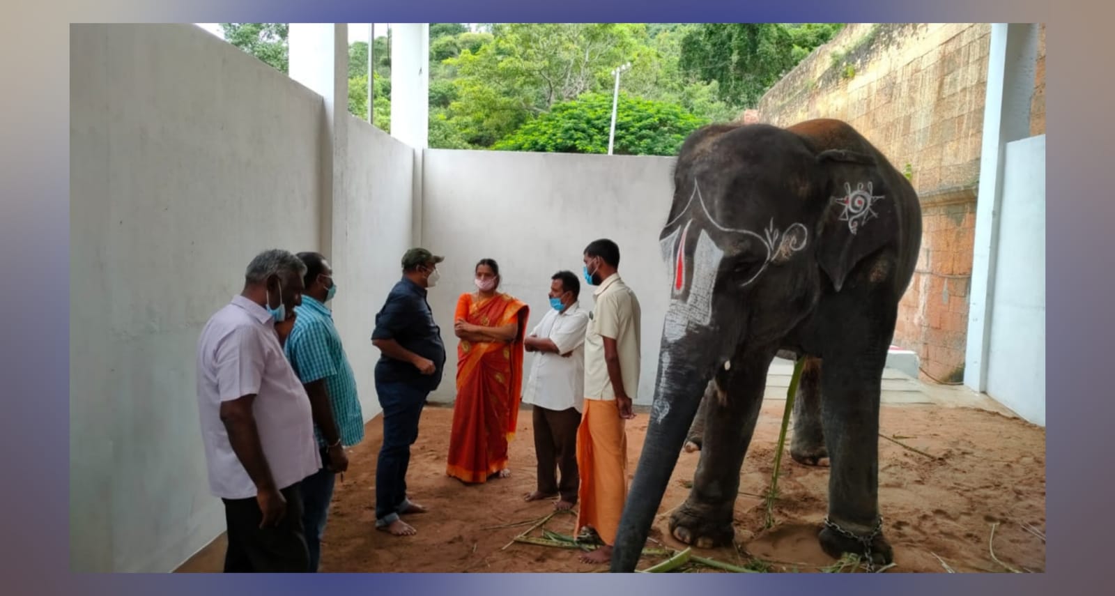 அழகர் கோயிலில் யாணை ஆய்வு செய்த வனவிலங்கு கமிட்டியினர்.!