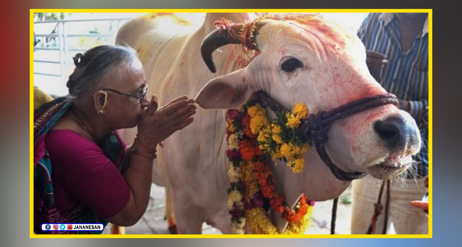 பசுவை தேசிய விலங்காக மத்திய அரசு அறிவிக்க வேண்டும் – அலகாபாத் ஐகோர்ட்டு..!