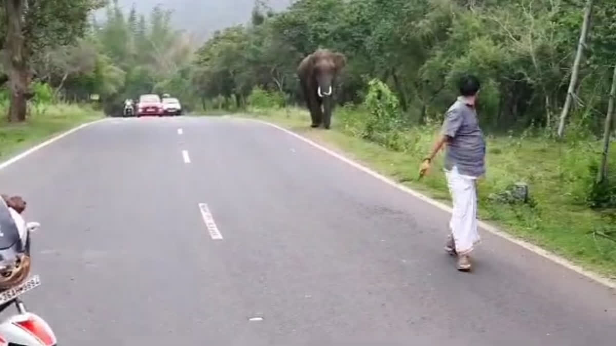 வனப்பகுதியில் காட்டு யானையுடன் செல்பி : தெலங்கானா தொழிலதிபர்களுக்கு ரூ.20 ஆயிரம் அபராதம் – வனத்துறையினர் நடவடிக்கை