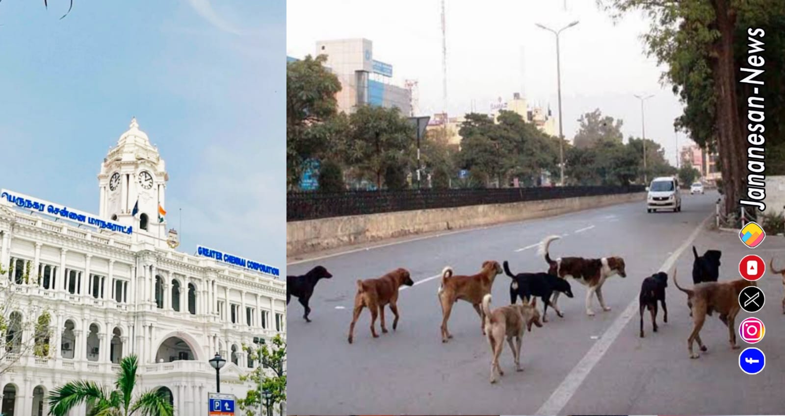 அதிகரிக்கும் தெருநாய் தொல்லை.. ஆண்டுக்கு 28,000 நாய்களுக்கு இனவிருத்தி கட்டுப்பாடு அறுவை சிகிச்சை – சென்னை மாநகராட்சி..!